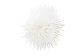 Sälen Adventsstjerne / Julelampe 100 cm - Hvid - Belysning - Julebelysning - Julelys