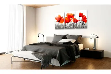 Bilde Charming Poppies 120x60 - Artgeist sp. z o. o. - Innredning - Bilder & kunst - Lerretsbilder