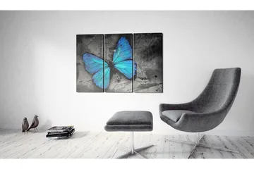 Bilde The Study Of Butterfly Triptych 60x40 - Artgeist sp. z o. o. - Innredning - Bilder & kunst - Lerretsbilder