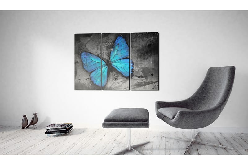 Bilde The Study Of Butterfly Triptych 60x40 - Artgeist sp. z o. o. - Innredning - Bilder & kunst - Lerretsbilder
