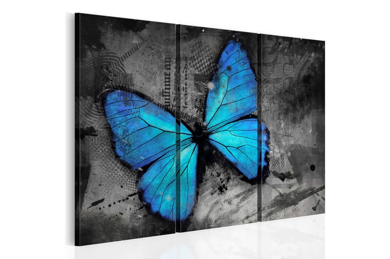 Bilde The Study Of Butterfly Triptych 60x40 - Artgeist sp. z o. o. - Innredning - Bilder & kunst - Lerretsbilder