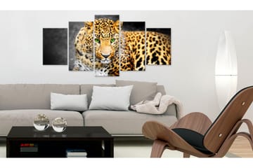 Bilde Green-Eyed Leopard 100x50 - Artgeist sp. z o. o. - Innredning - Bilder & kunst - Lerretsbilder