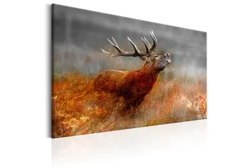 Tavle Roaring Deer 120X80 - Artgeist sp. z o. o. - Innredning - Bilder & kunst - Lerretsbilder