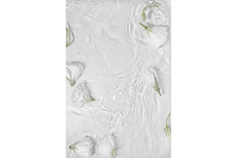 Poster White Roses 21x30 cm, Hvid
