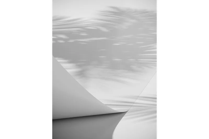 Poster Papyrus 50x70 cm, Hvid