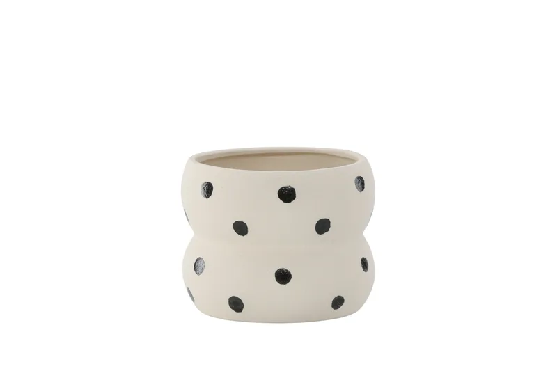 Dapne Krukke, Beige