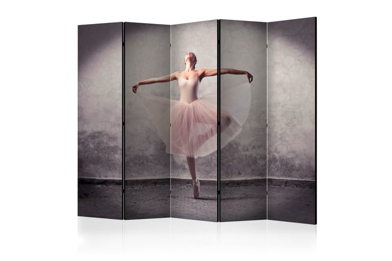 Romdeler Classical Dance - Poetry Without Words, Artgeist sp. z o. o.