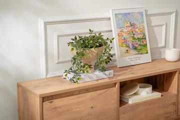 Gulliver TV-benk 160 cm - Brun - Møbler - Mediamøbel & tv møbel - TV-benk & mediabenk