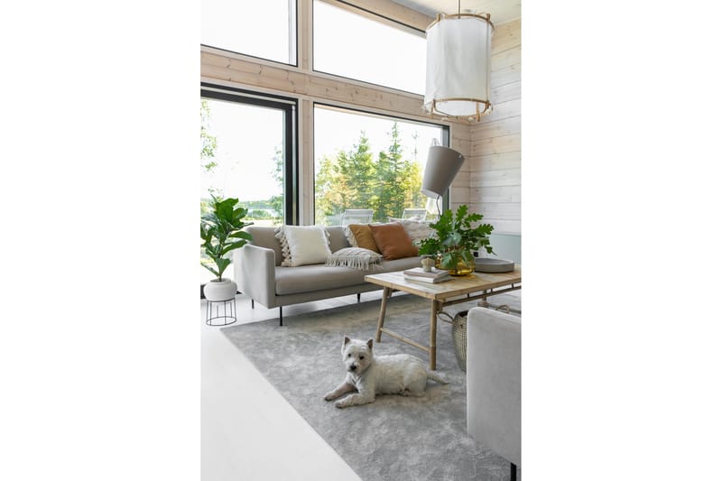 Hattara Matte 80x250 cm Beige - VM Tepper - Tekstiler - Tepper & Matter - Moderne tepper - Ryeteppe